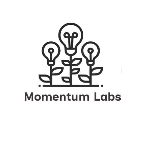 Momentum Labs